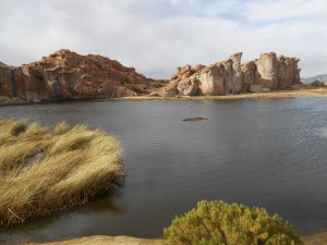 Black Lagoon (c) Shafik Meghji